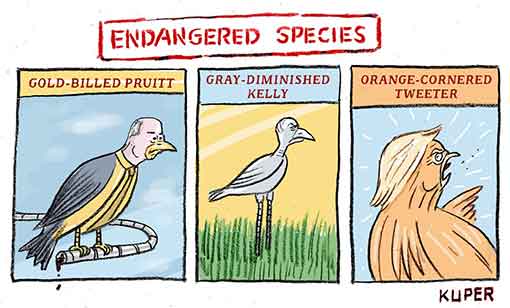 endangered-species.jpg
