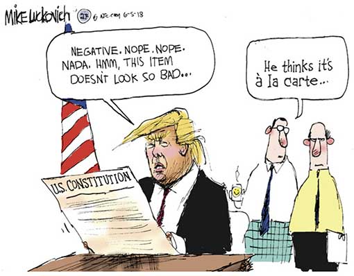 trumps-constitution.jpg