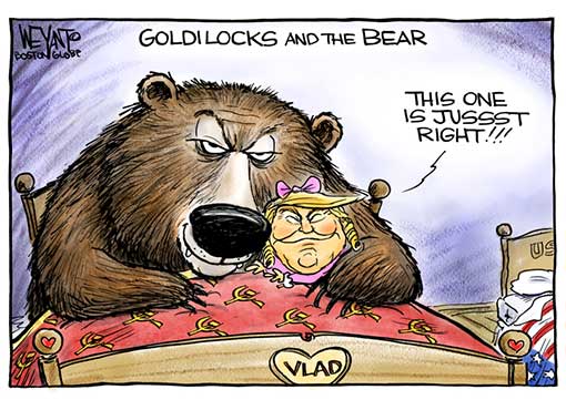 goldilocks-bear.jpg