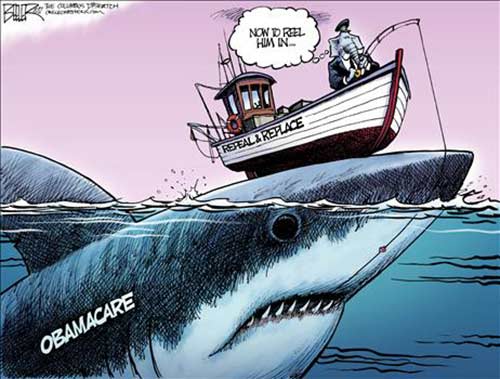 obamacare-shark.jpg