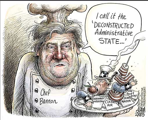 chef-bannon.jpg